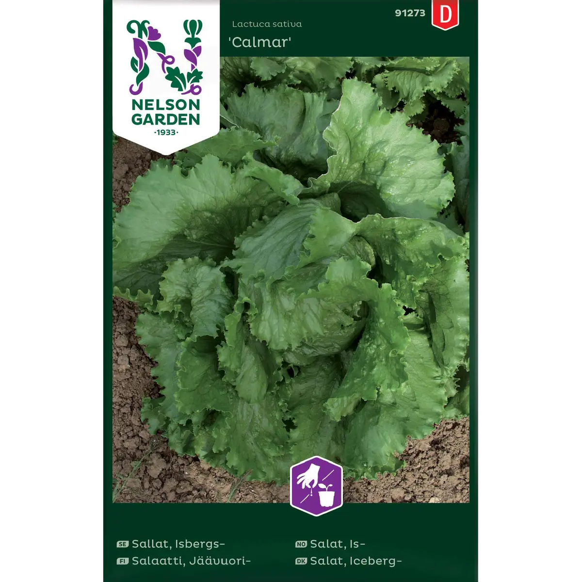 Issalat 'Calmar'