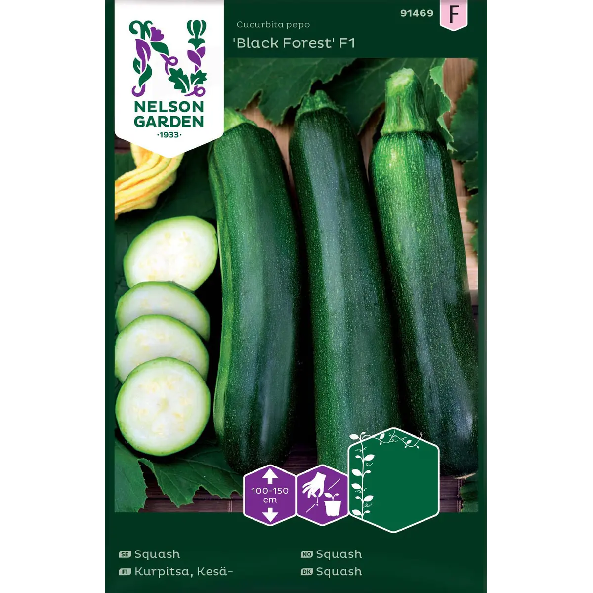 Squash 'Black Forest'