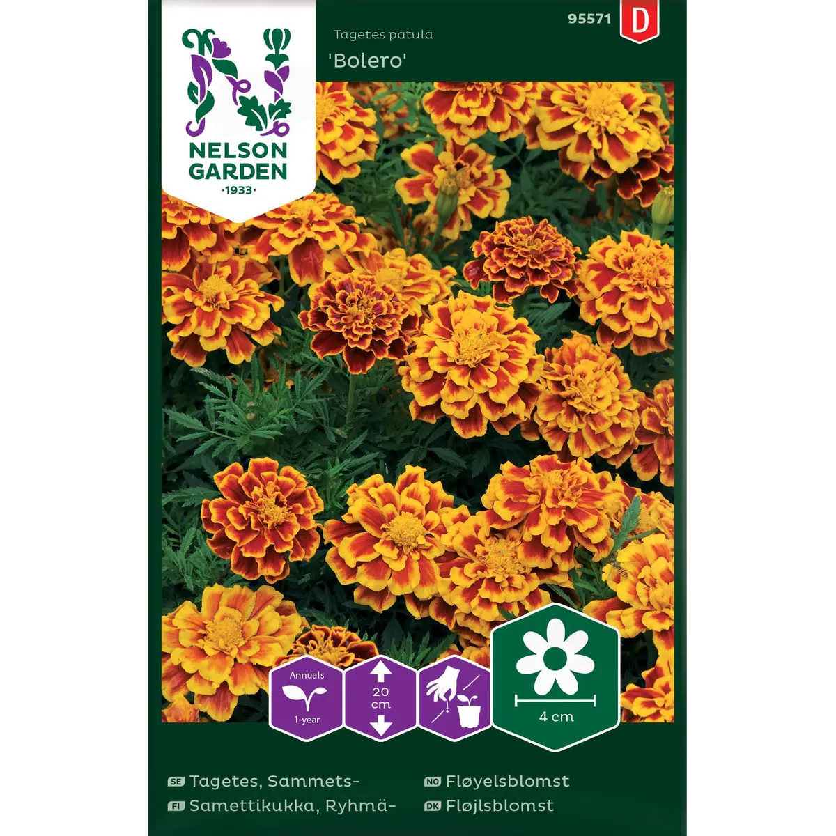 Fløyelsblomst 'Bolero'