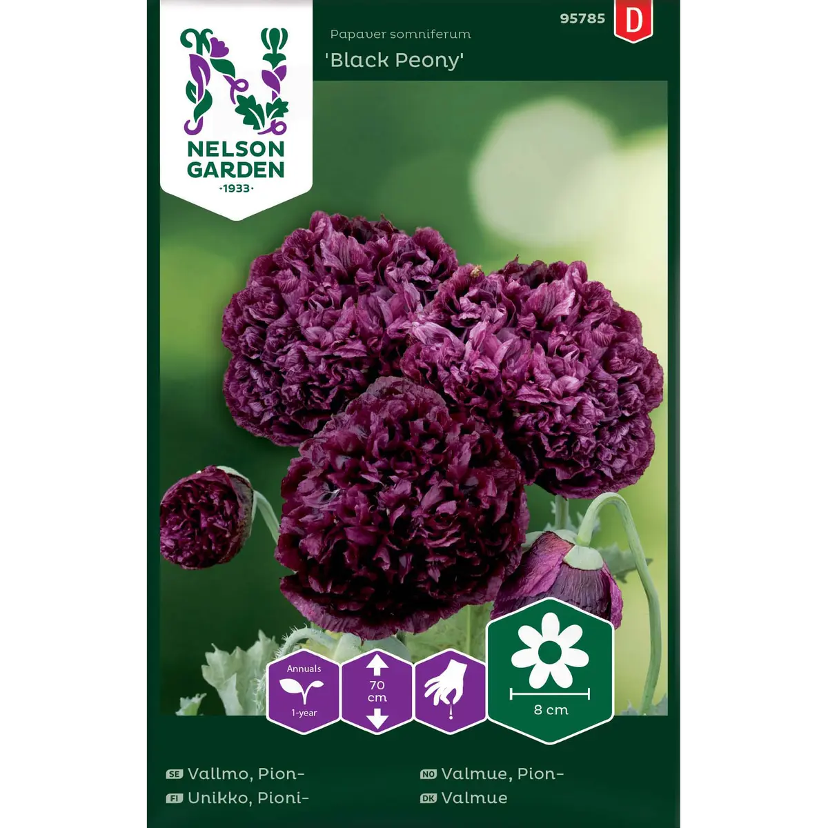 Pionvalmue 'Black Peony'