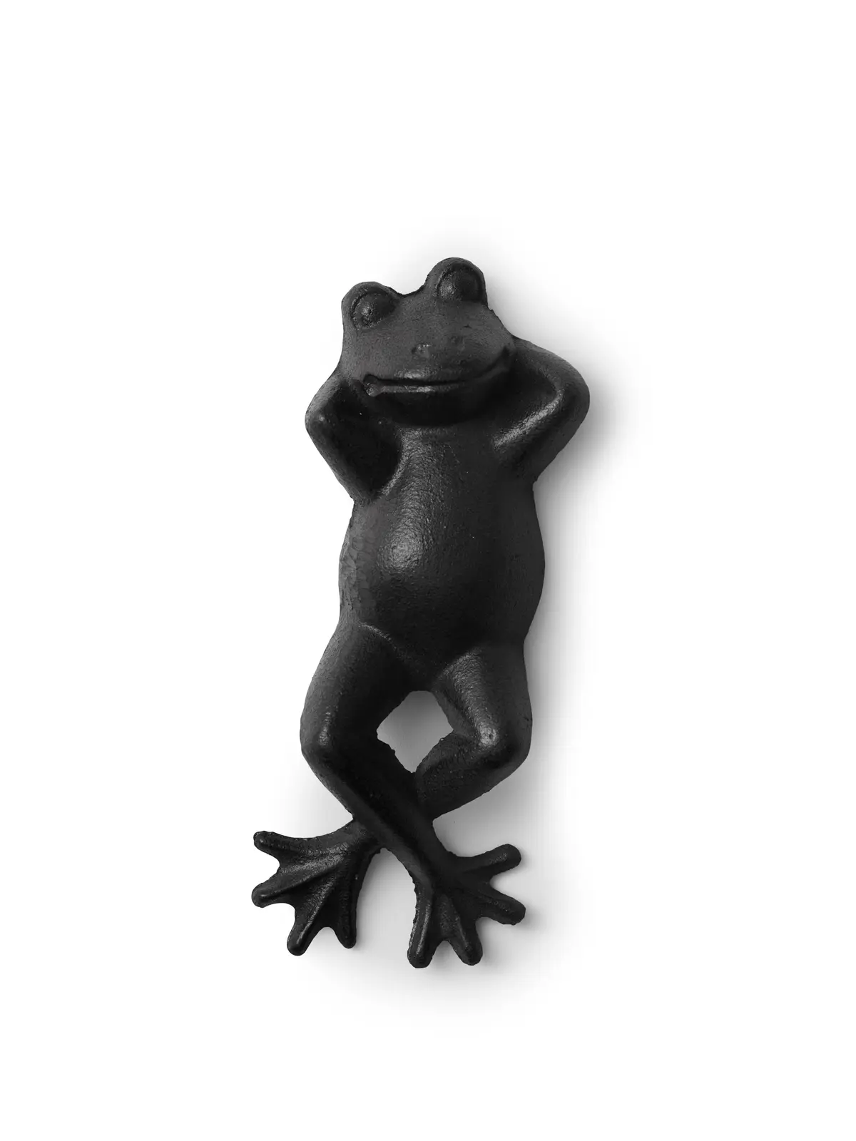 Dekorasjon frosk