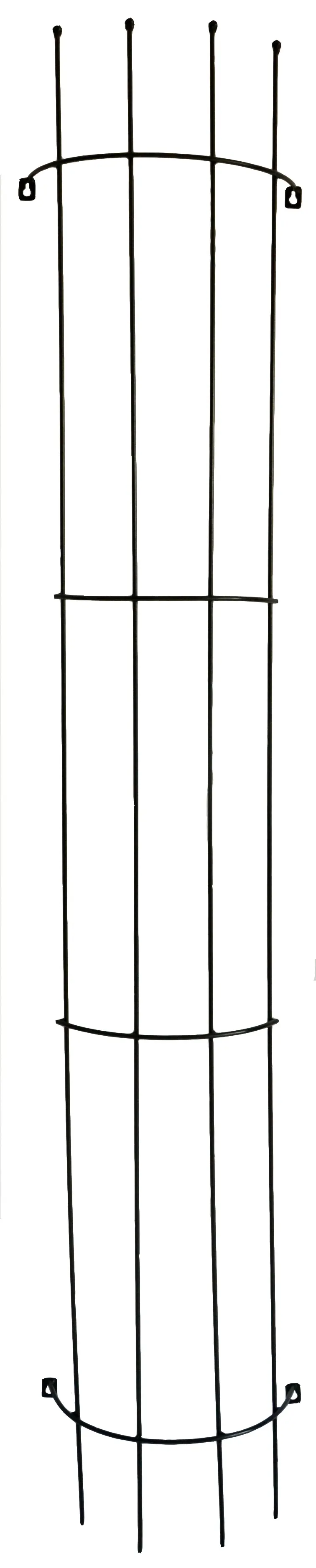 Espalier for vegg