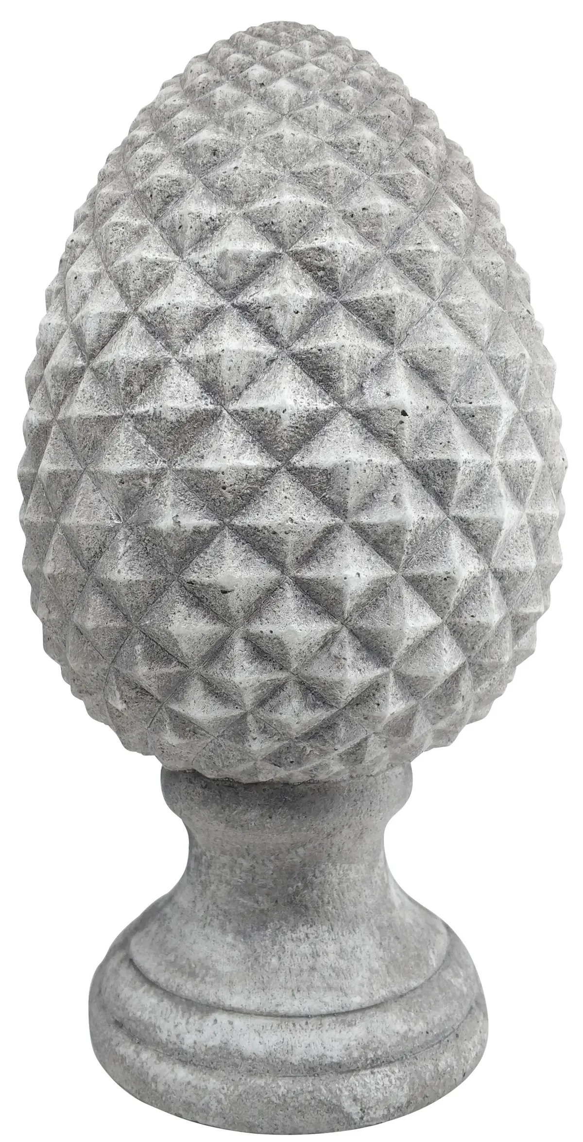 Pyntekongle Pinus