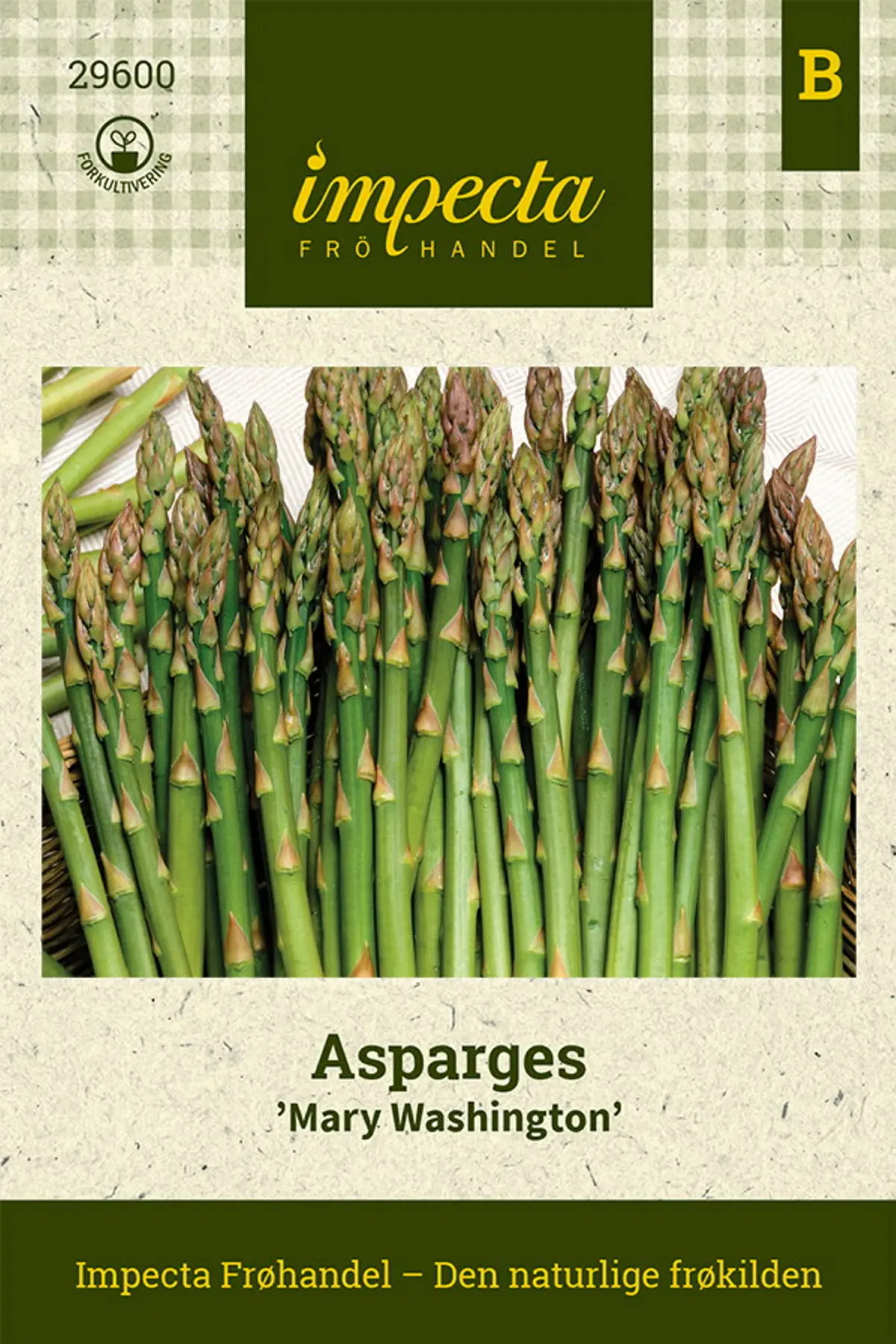 Asparges 'Mary Washington'
