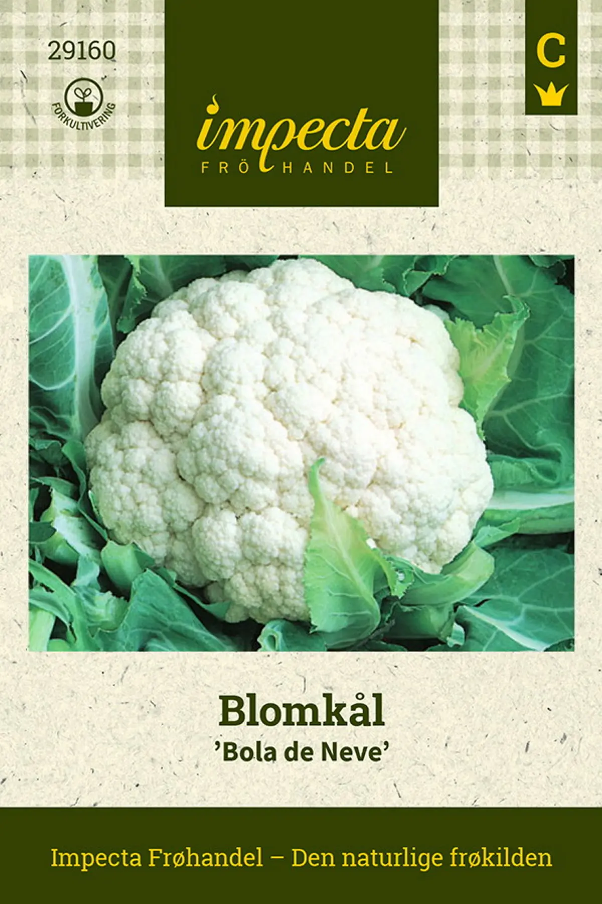 Blomkål 'Bola de Neve'