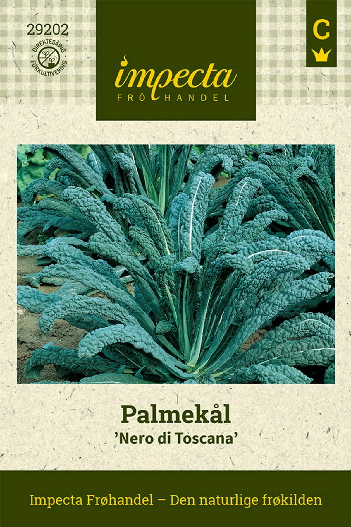 Palmekål 'Nero di Toscana'