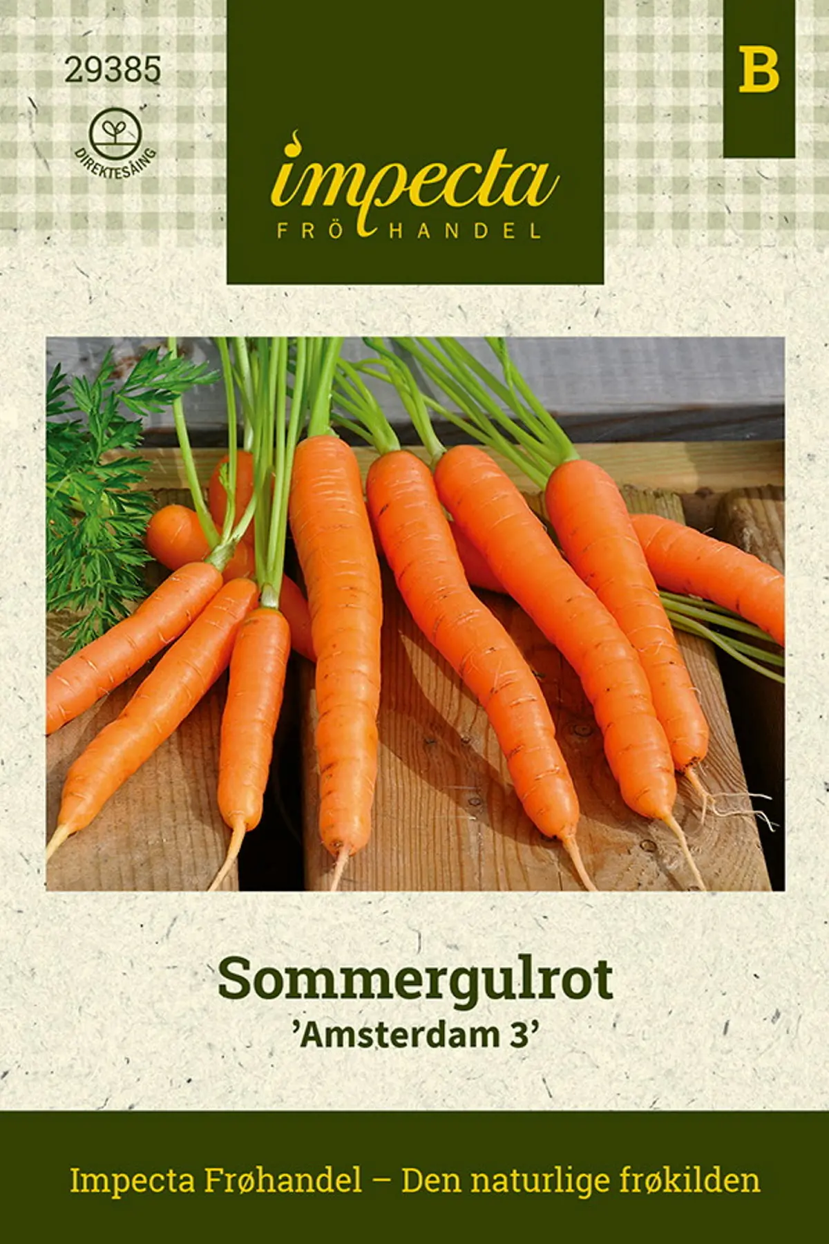 Sommergulrot 'Amsterdam 3'