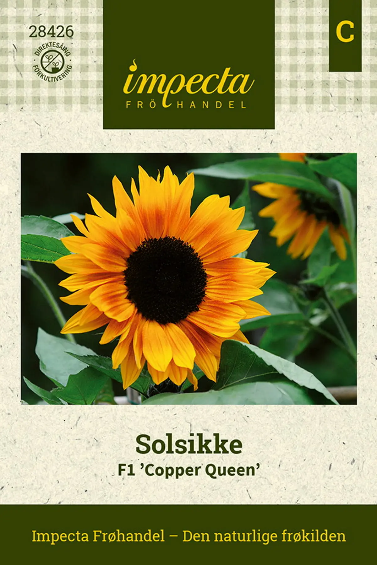 Solsikke F1 'Copper Queen'