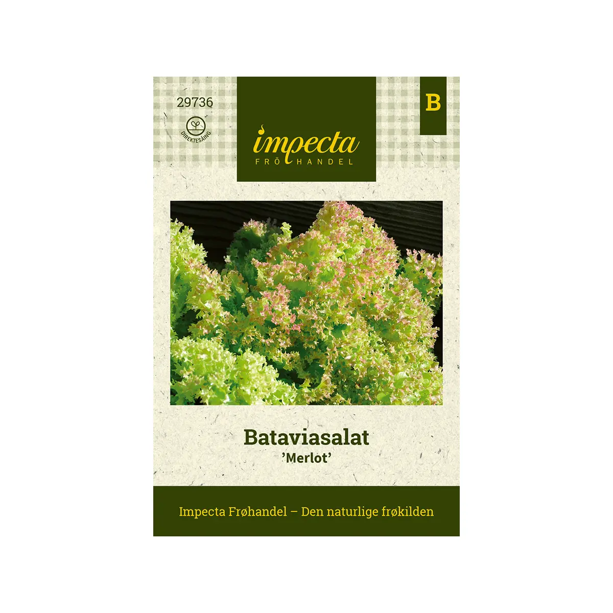 Bataviasalat 'Merlot'
