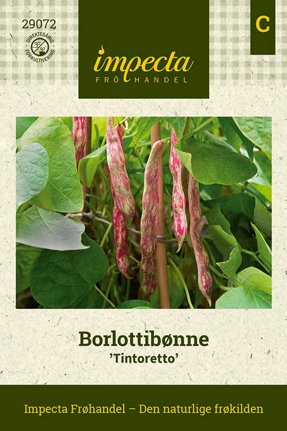 Borlottibønne 'Tintoretto'