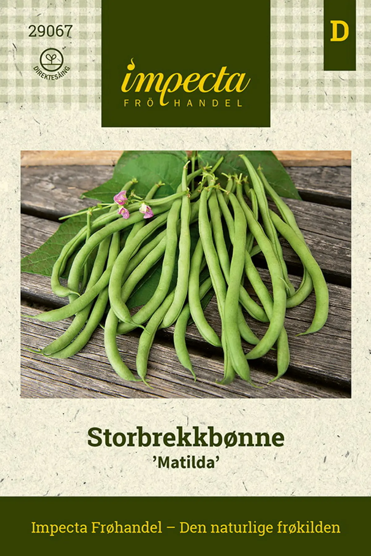 Storbrekkbønne 'Matilda'