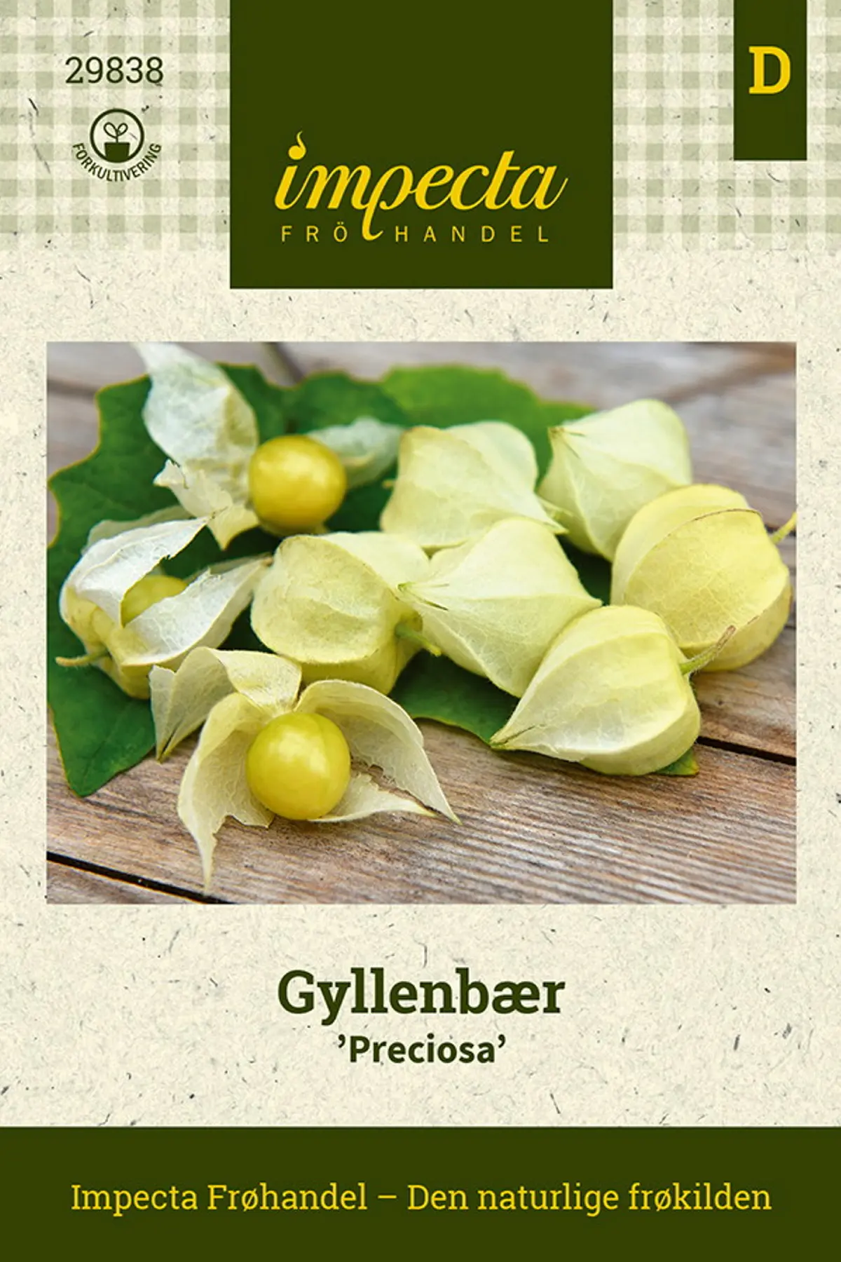 Gyllenbær 'Preciosa'