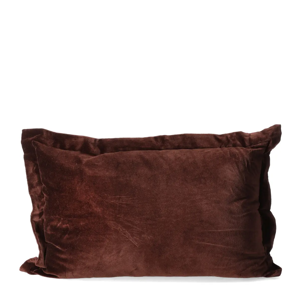 Pute Marron