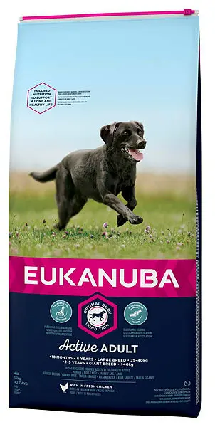 Adult Large Breed