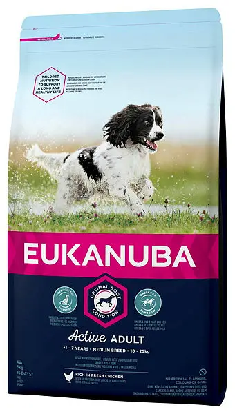 Adult Medium Breed