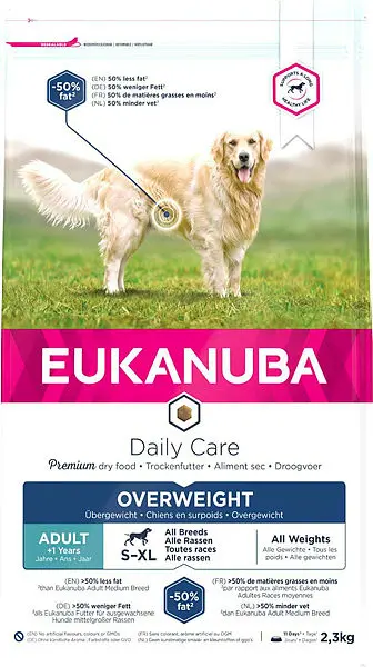 DailyCare Overweight, Sterilized