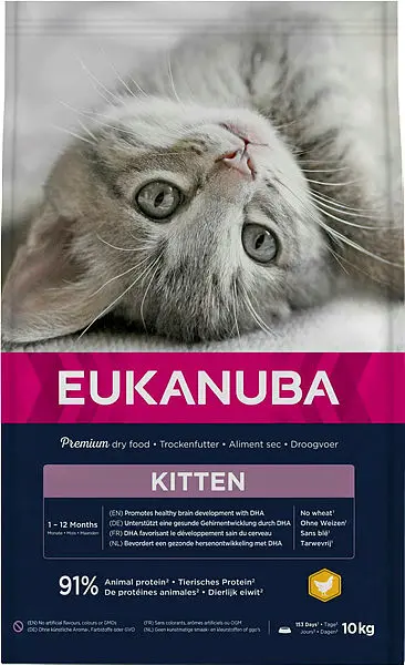 Kitten Healthy Start