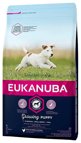 Puppy Small Breed