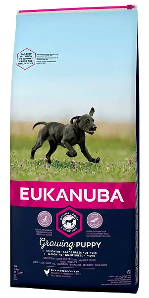Puppy Large Breed