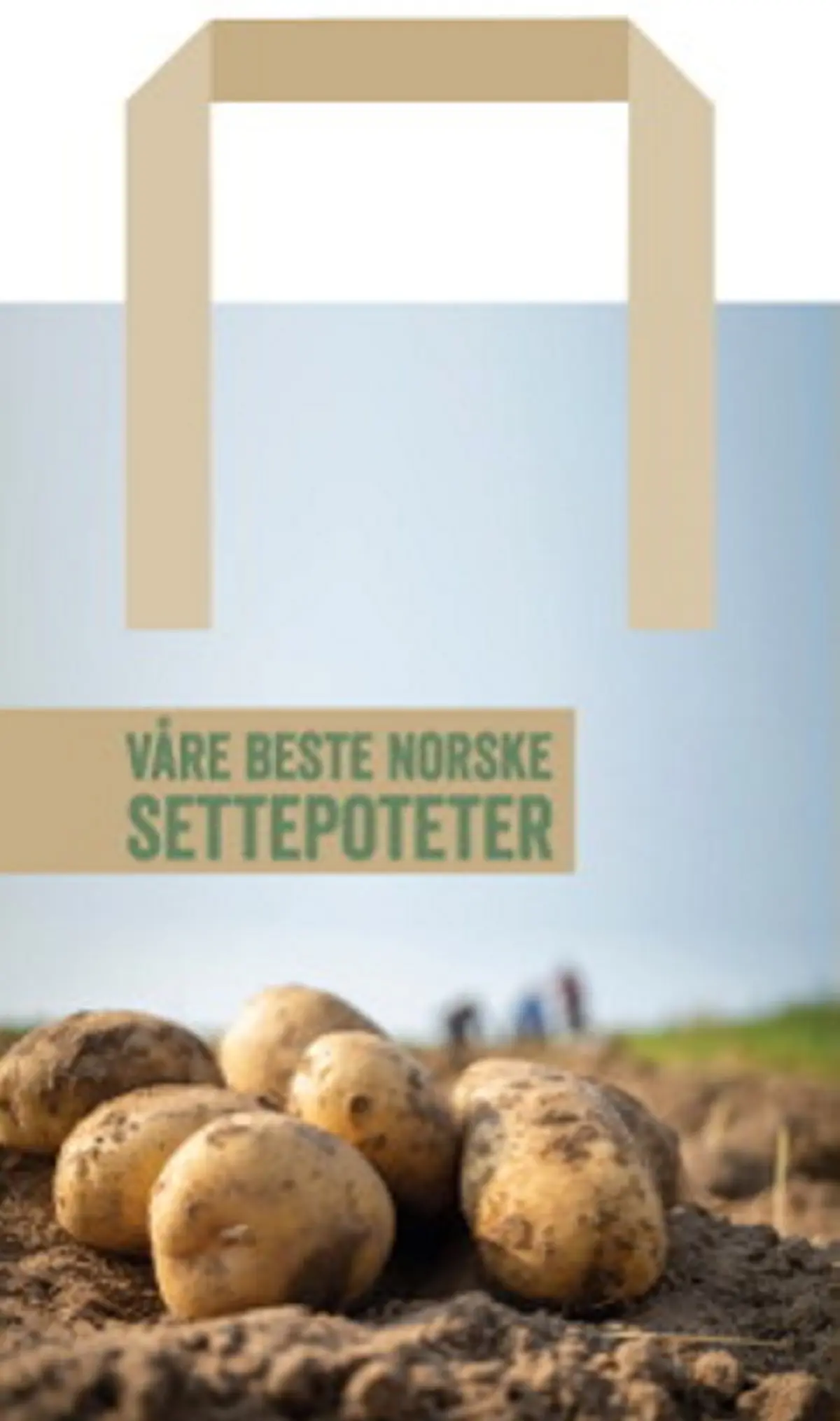 Settepotet 4 sorter mix