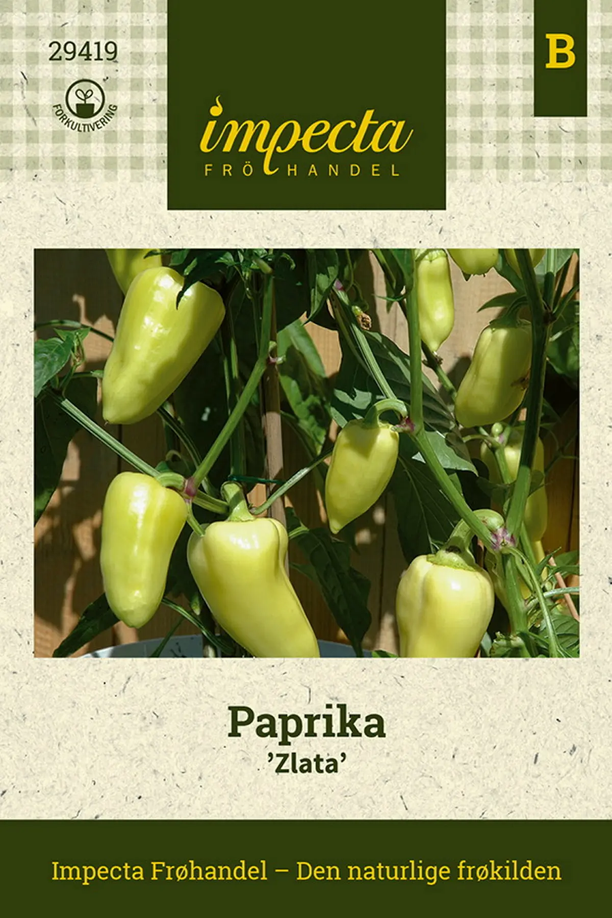Paprika 'Zlata'