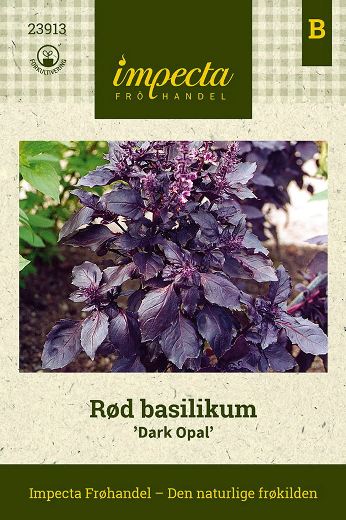 Rød basilikum 'Dark Opal'
