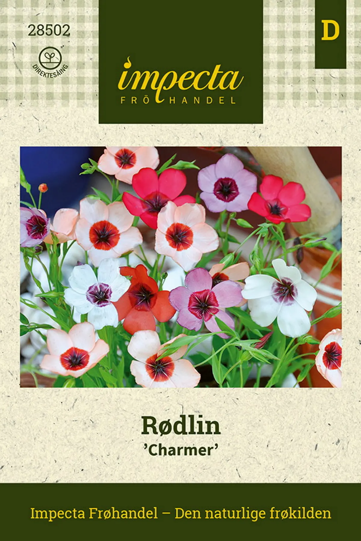 Rødlin 'Charmer'