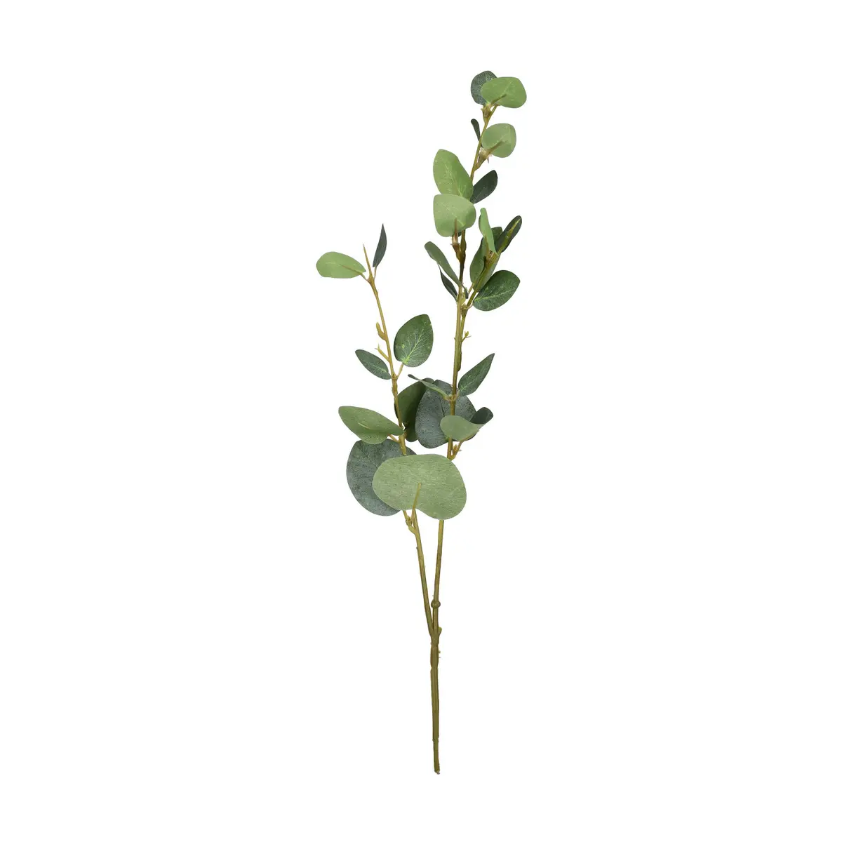 Eucalyptus snitt kunstig