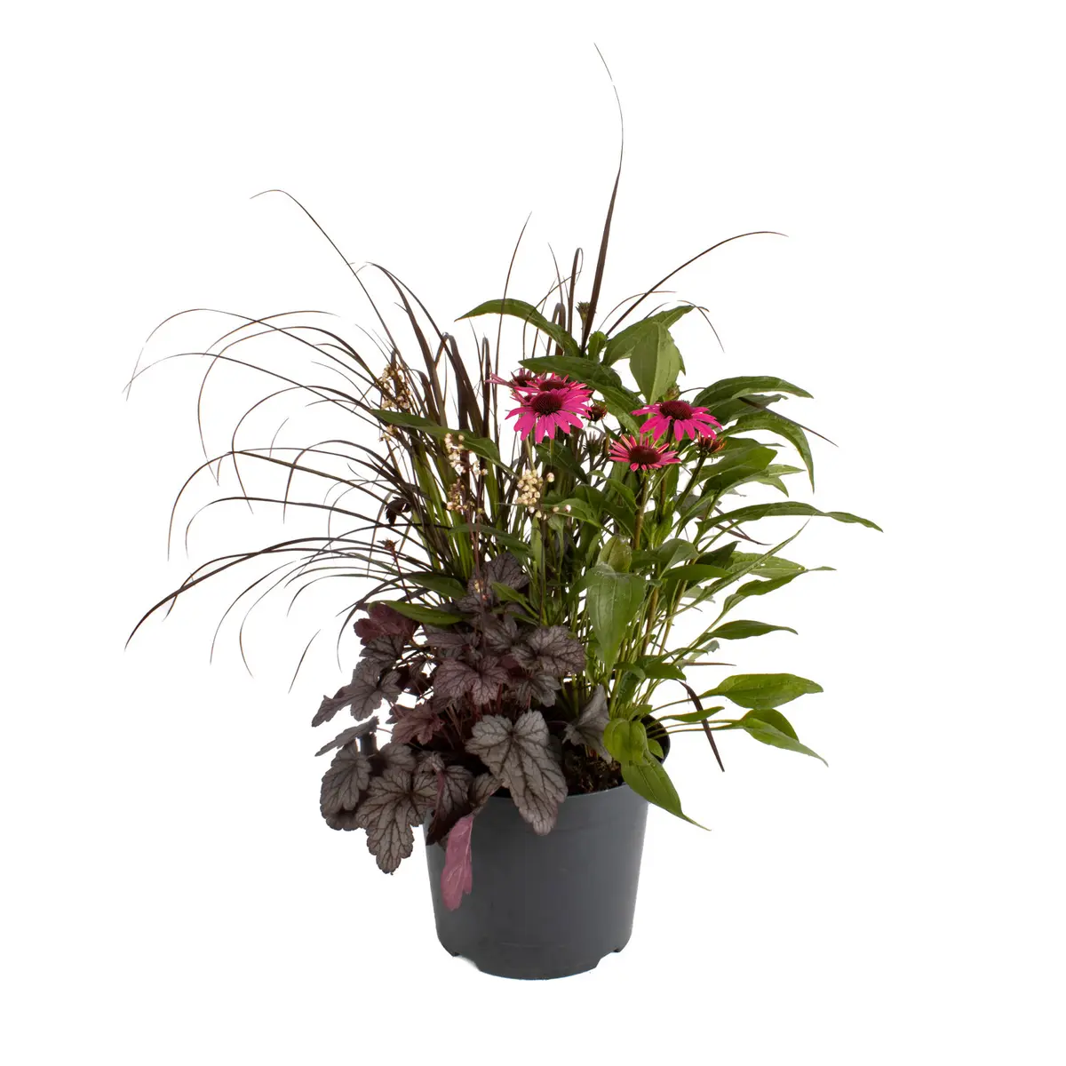 Samplanting Triple Beauty Stockholm