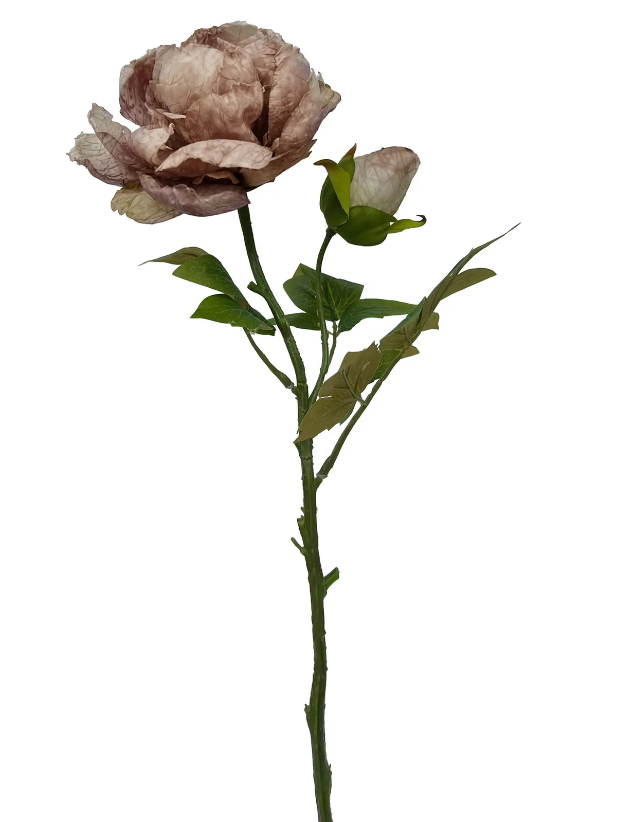 Pion snitt kunstig