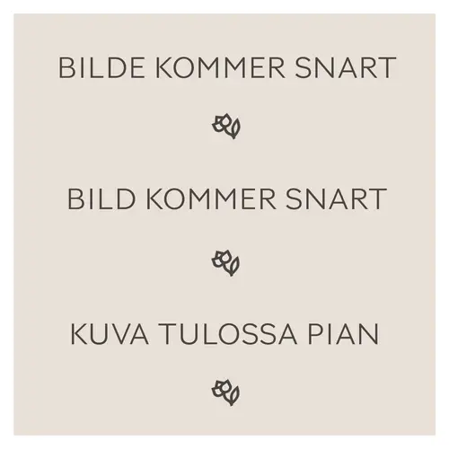 Bjørkefiken 'Twilight'
