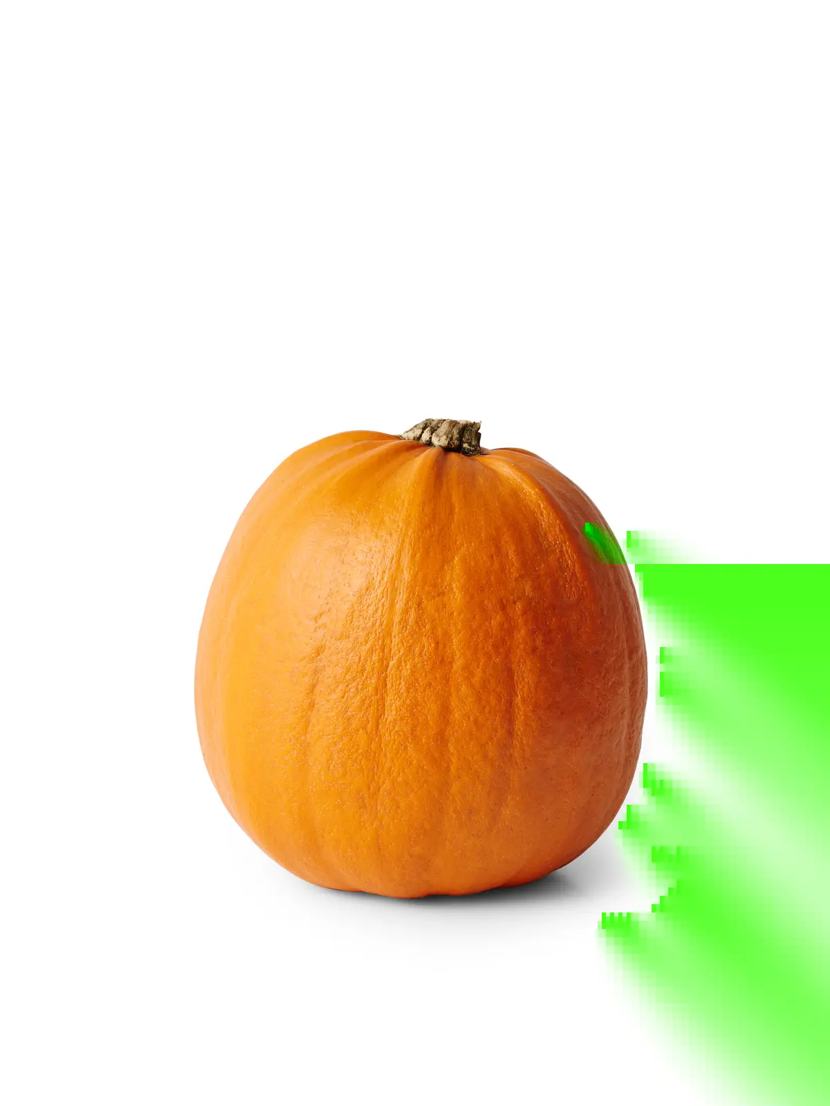 Halloween-gresskar NO
