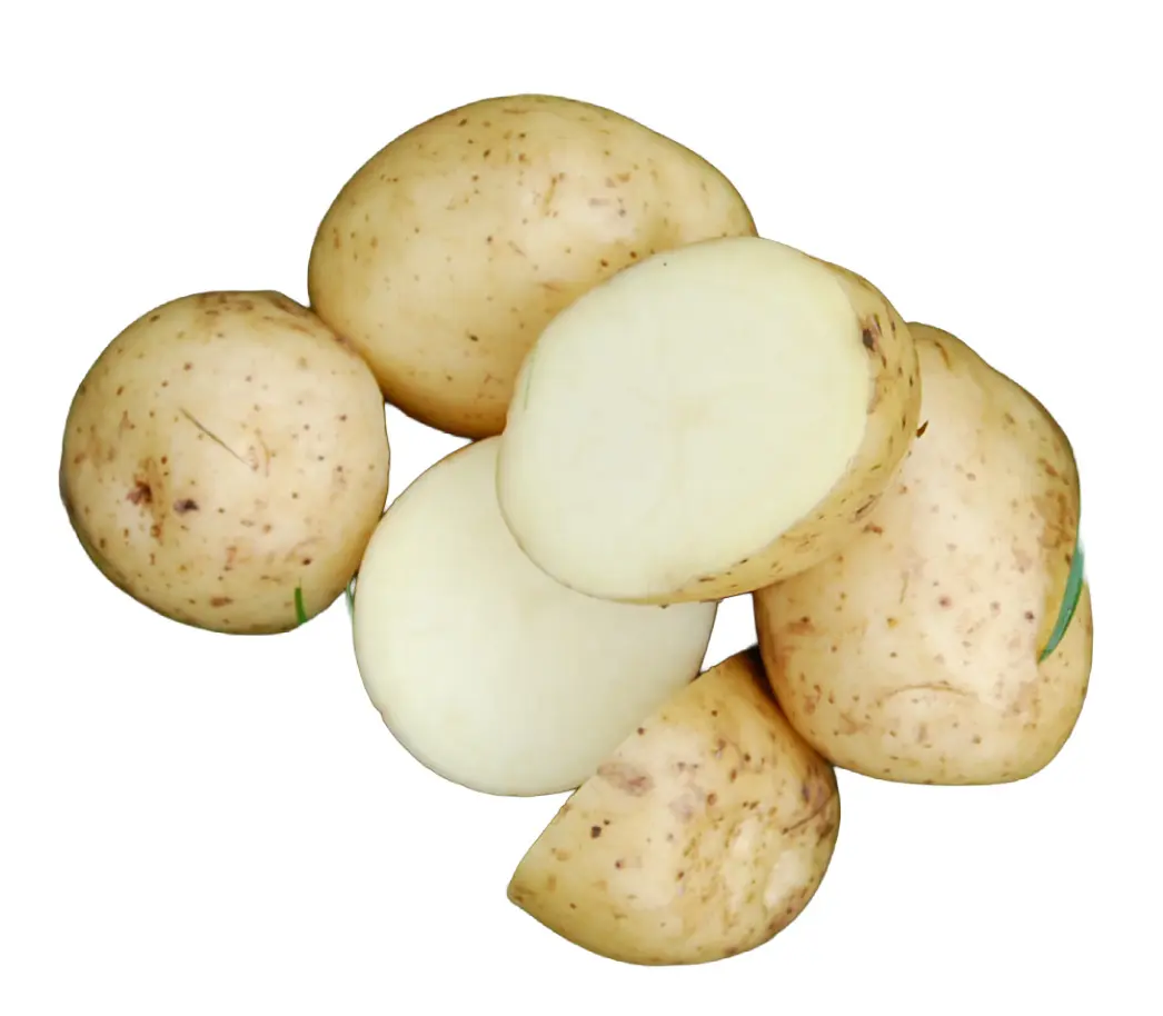Settepotet Colomba 1 kg