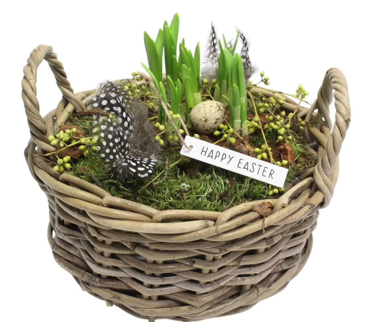 Vårplanting i kurv