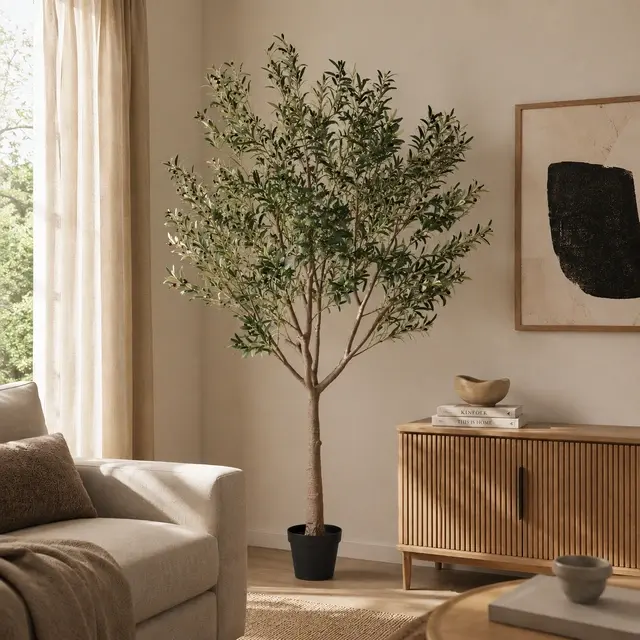Oliventre innendørs 210cm