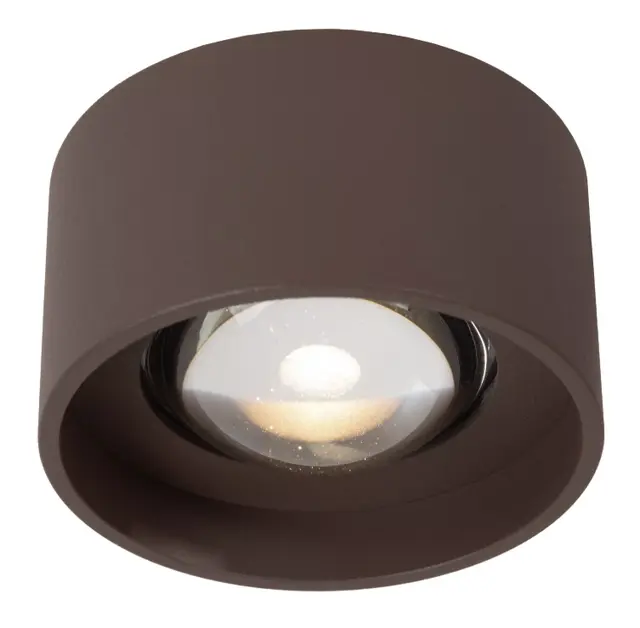 Lenz utelampe takspot 10cm brun