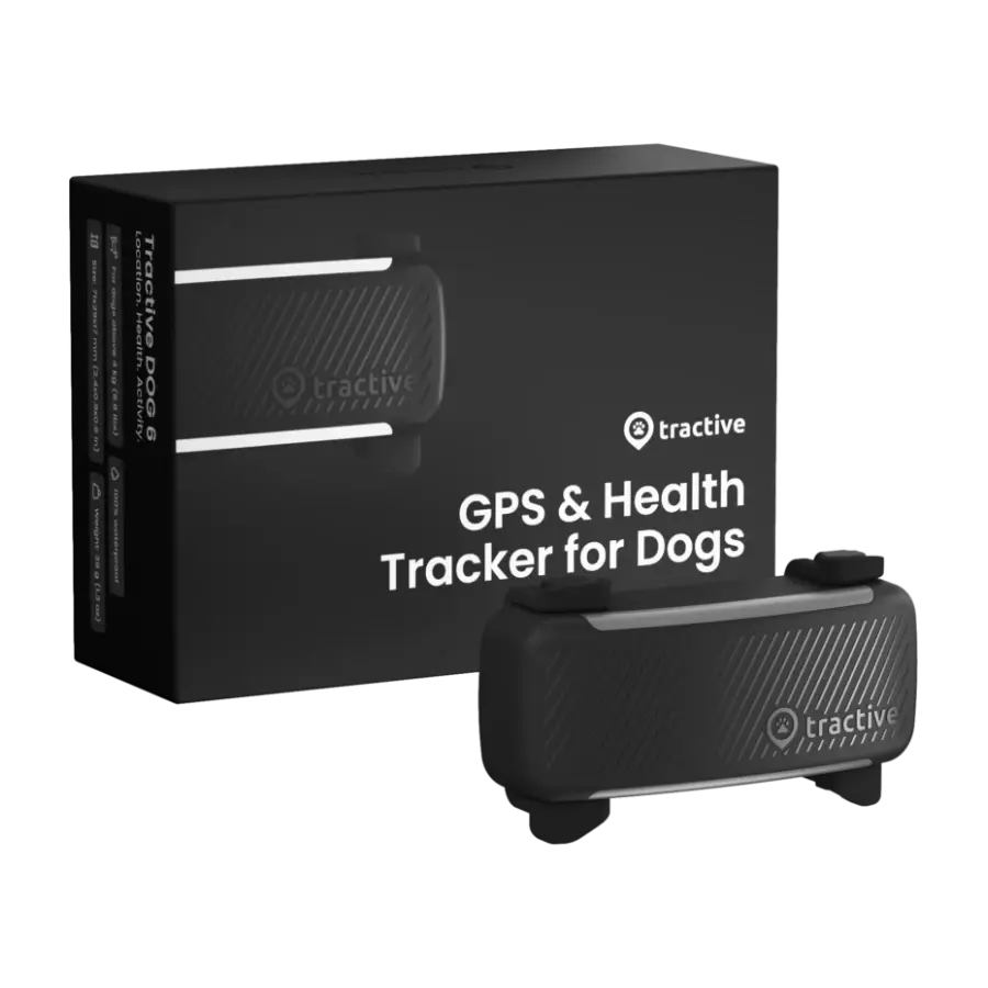 Tractive DOG 6 GPS-sporing for hund, svart