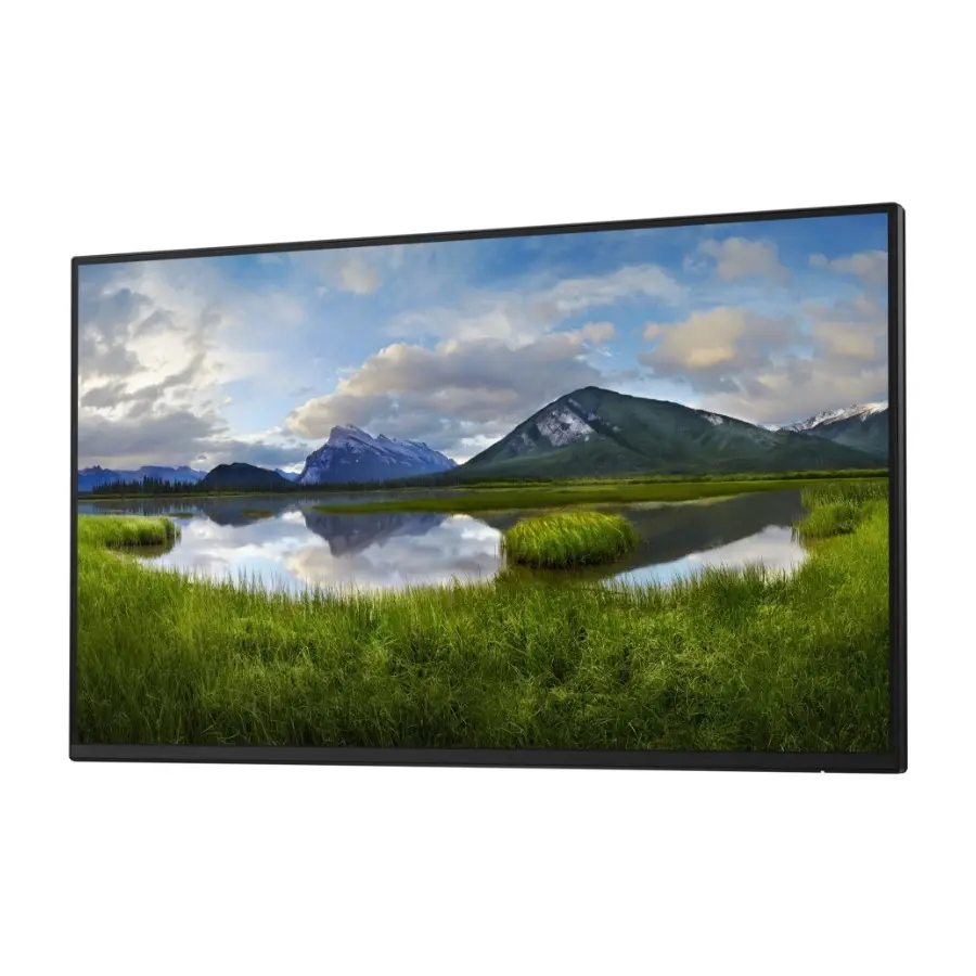 Dell P2425H 23,8" Full HD skjerm