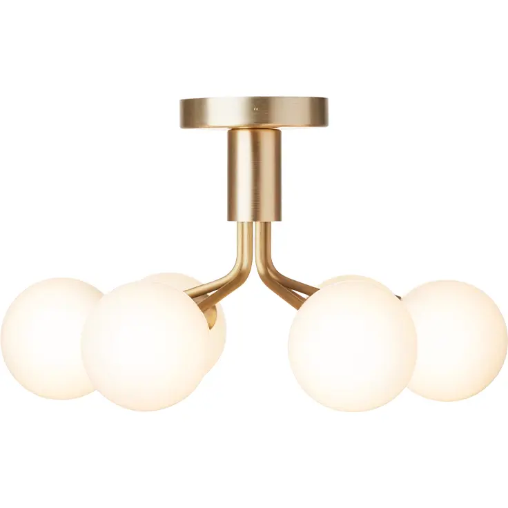 Apiales 6 Plafond