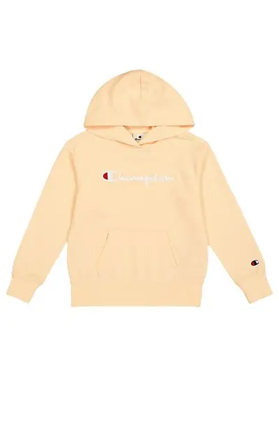 CHAMPION Big Logo Icons Hooded Sweatshirt DUSTED PEONY PINK Barn