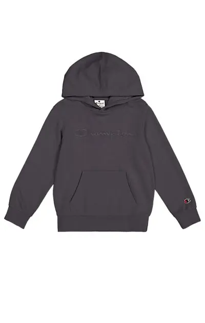 CHAMPION Tonal Icons Hooded Sweatshirt NINE IRON Barn