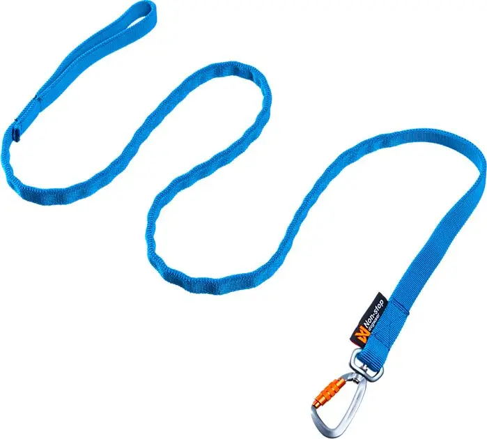 Bungee leash