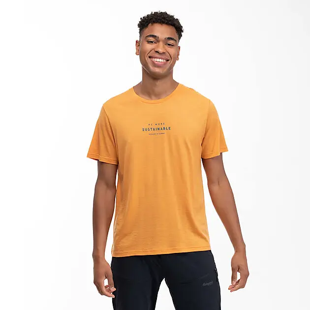 BERGANS OF NORWAY Graphic Wool Tee Golden Field/North Sea Blue Herre