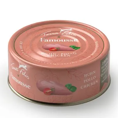Terra Felis Famousse 12 x 80 g