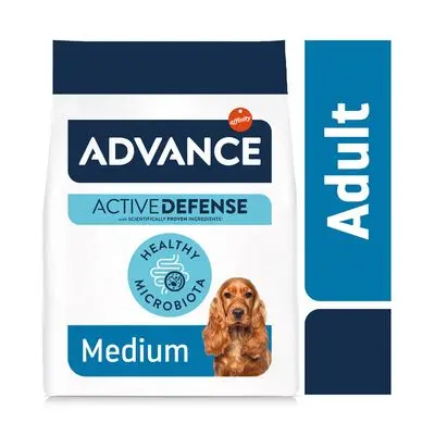 Advance Medium Adult