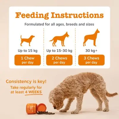 Zesty Paws Calming Chews kalkun