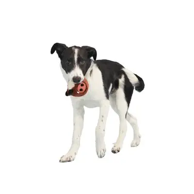 Bark hundeleketøy Wild Boris