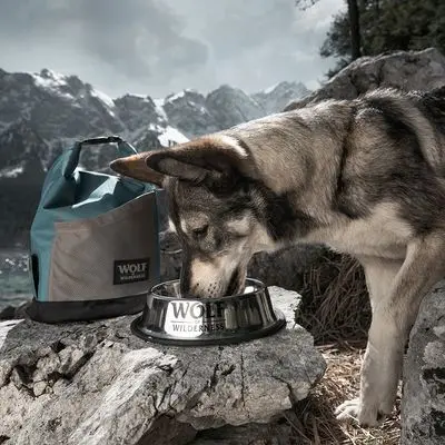 Wolf of Wilderness Fôrpose