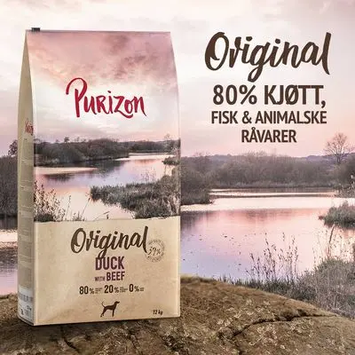 Purizon And med storfekjøtt Adult - kornfri