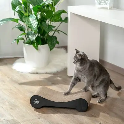 Cosma kloremøbel for katter